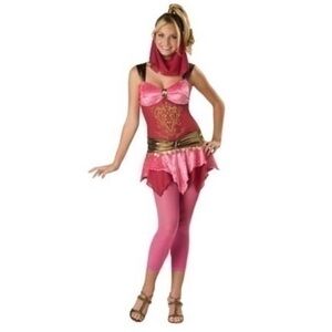 NWT. IN CHARACTER Veiled Vixen Costume